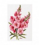 IMAGE 3D FLEUR ROSE NAVF46