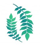 POCHOIR BRANCHES ET FEUILLES 21X29.7 KSG349 