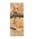 IMAGE 3D LIONCEAUX 20X50 DROITE 1000753