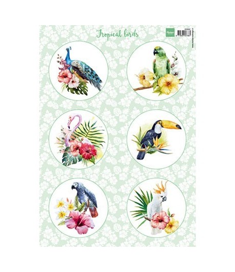 FEUILLE 3D MD TROPICAL VK9561