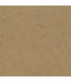 PANNEAU BOIS 40X40CM 3MM EP