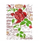 POCHOIR ROSE ET MUSIQUE 21X29.7 KSG419 STAMPERIA