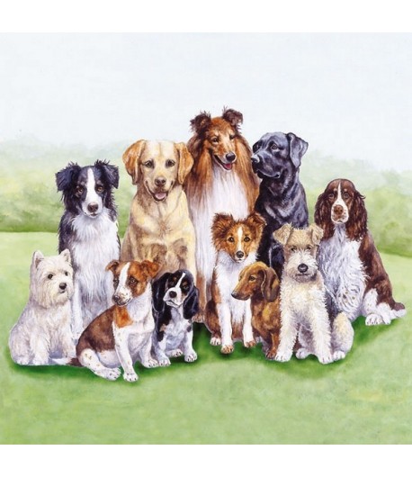 SERVIETTE BANDE DE CHIENS 2