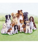 SERVIETTE BANDE DE CHIENS 2