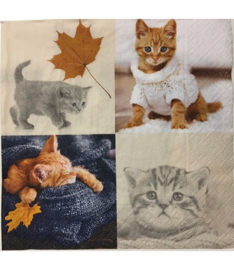SERVIETTE CHATONS D'AUTOMNE