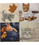 SERVIETTE CHATONS D'AUTOMNE