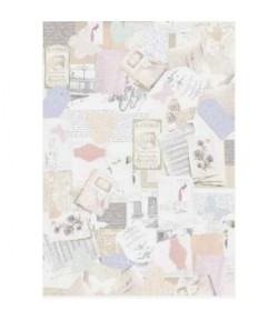 PAPIER DE RIZ CACTUS 35X50