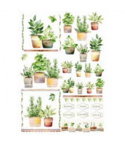 PAPIER DE RIZ PLANTES 35X50
