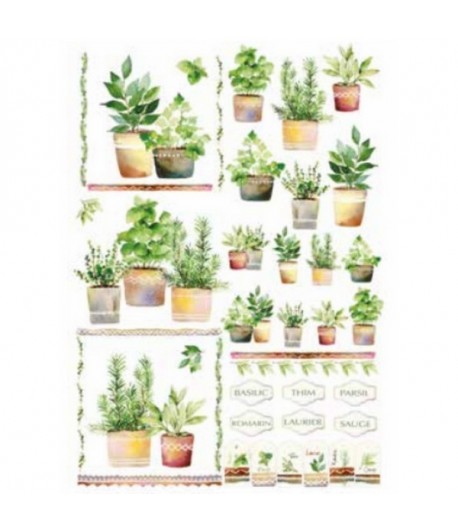 PAPIER DE RIZ PLANTES 35X50