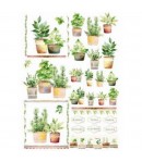 PAPIER DE RIZ PLANTES 35X50