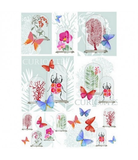 PAPIER DE RIZ CURIOSITES 35X50