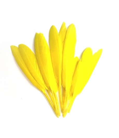 PLUMES DROITES X  10 - JAUNE CANARIE