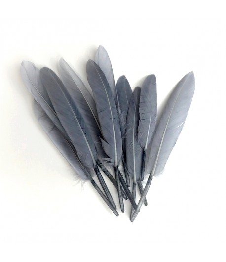 PLUMES DROITES X  10 - GRIS