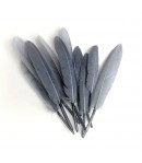 PLUMES DROITES X  10 - GRIS