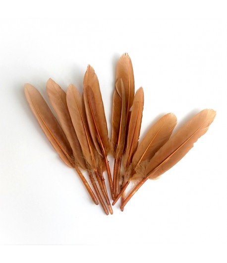 PLUMES DROITES X  10 - CAMEL