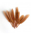 PLUMES DROITES X  10 - CAMEL