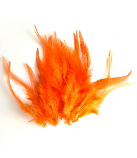 PLUMES X  10 - ORANGE