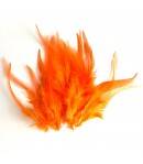 PLUMES X  10 - ORANGE