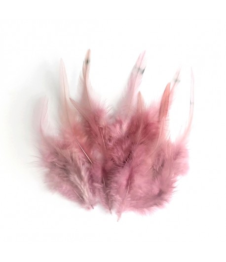 PLUMES X  10 - VIEUX ROSE