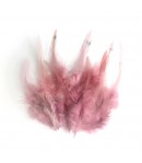 PLUMES X  10 - VIEUX ROSE