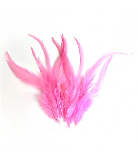 PLUMES X  10 - ROSE