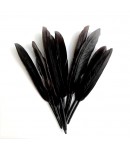 PLUMES DROITES X  10 - NOIR