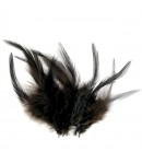 PLUMES X  10 - NOIR