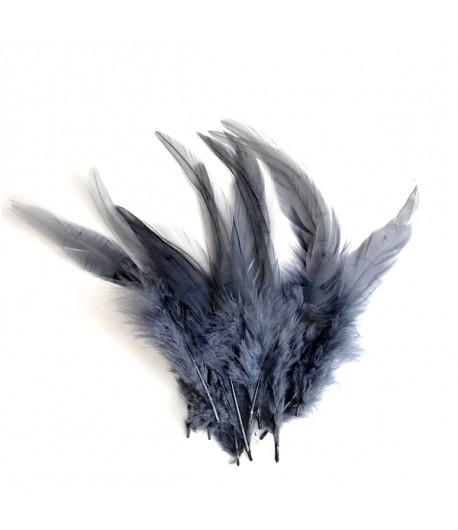 PLUMES X  10 - GRIS