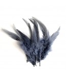 PLUMES X  10 - GRIS
