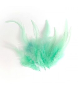 PLUMES X  10 - VERT D'EAU CLAIR