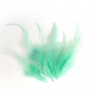 PLUMES X  10 - VERT D'EAU CLAIR