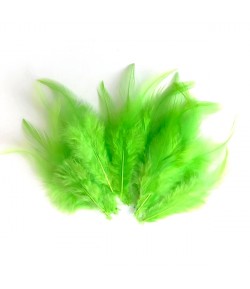PLUMES X  10 - VERT FLUO