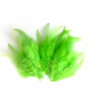 PLUMES X  10 - VERT FLUO