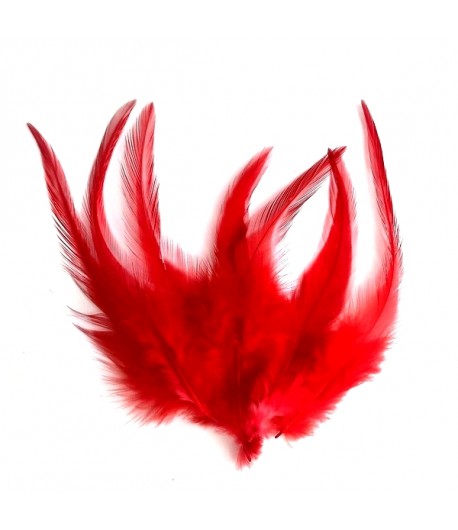 PLUMES X  10 - ROUGE