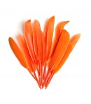 PLUMES DROITES X  10 - ORANGE