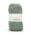 COTON ARAN GRIS VERT (43)