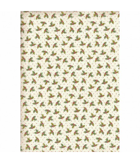 PAPIER DE RIZ HOUX 21 X 29.7 DFSA4311