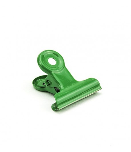 PINCES EN METAL X10 - VERT 1.9CM