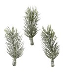 BRANCHES DE SAPIN 7 CM