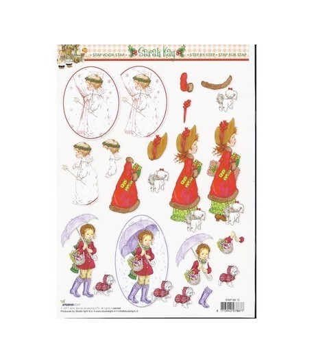 FEUILLE 3D SARAH KAY NOEL