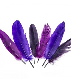 PLUMES TONS VIOLETS X  15