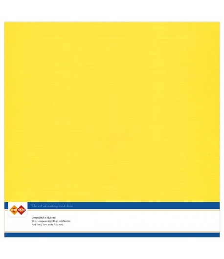 10 FEUILLES 30 X 30 CM 240GR - TOURNESOL