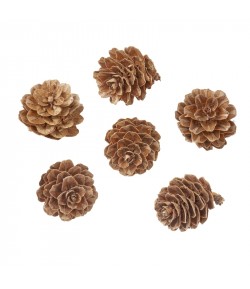 POMMES DE PIN 3 CM X 10