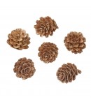 POMMES DE PIN 3 CM X 10