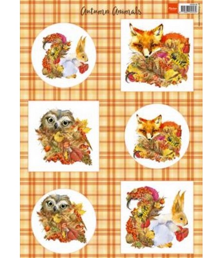 FEUILLE AUTOMNE - MD VK9546