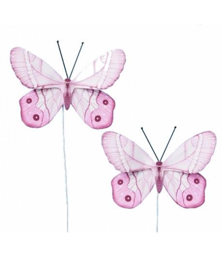 PAPILLONS X 2 - ROSE