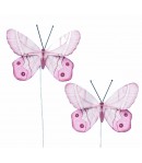 PAPILLONS X 2 - ROSE
