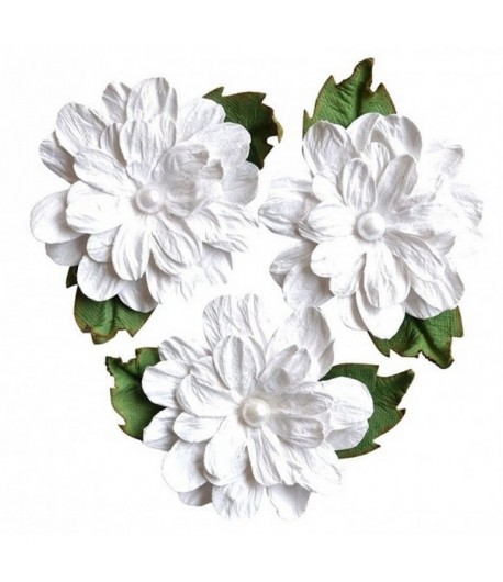 FLEURS BLANCHES ET FEUILLES X 3