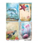 PAPIER DE RIZ OCEAN VIBES 21 X 29.7CM CBRP040