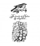 TAMPONS COSMOS BIRD 10X16.5 WTKCCR02